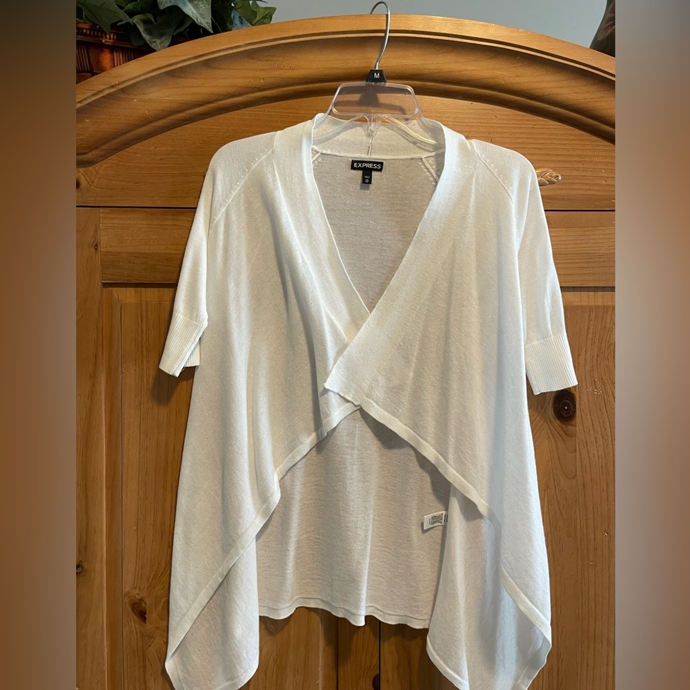 Express light weight tiered sweater